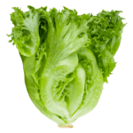 Whole Foods Market, Romaine Hearts Salad Bag Organic