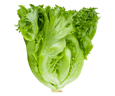 Whole Foods Market, Romaine Hearts Salad Bag Organic