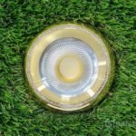 Ojo de Buey Dorado 3 Color