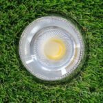 Ojo de Buey Plateado 3 Color