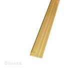 Perfil Terminal Dorado